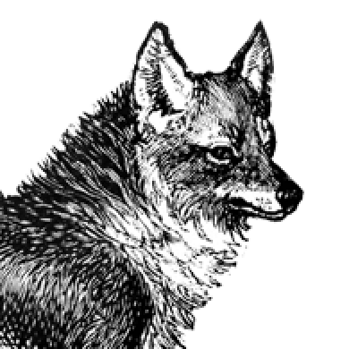 下川 賢介 / 加藤 潤一 / 中川 佳希 / 矢部 佑磨