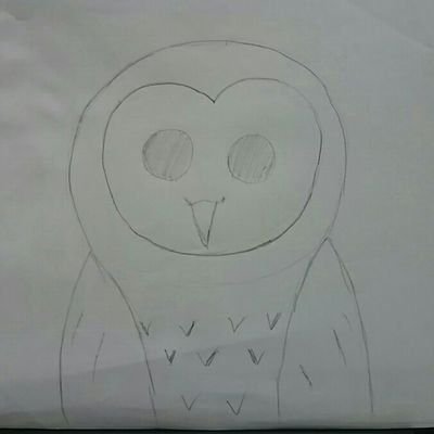 stupid_owl