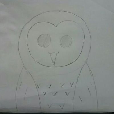 stupid_owl