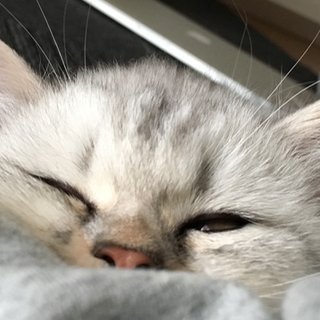 伊藤 泰のアイコン