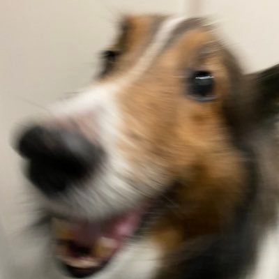 ag0d0r1rv
