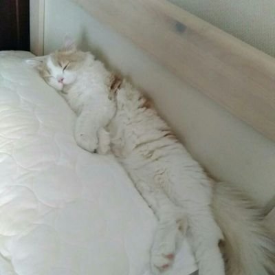 みょう